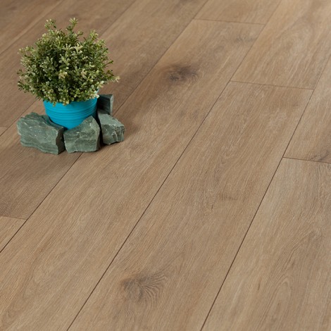 Kronopol / Platinium Terra / Oak Di Trevi